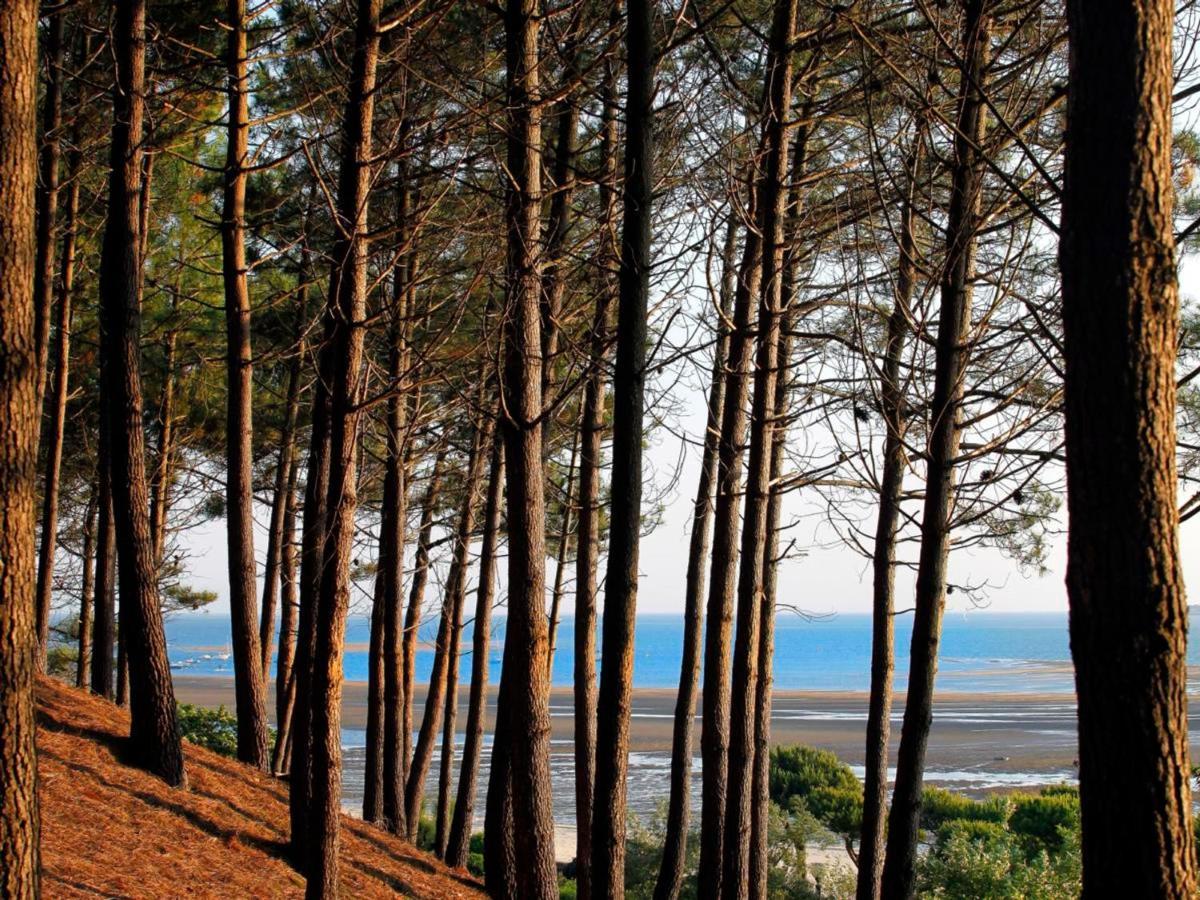 Maison Arcachon, 3 pièces, 5 personnes - FR-1-420-63 Extérieur photo